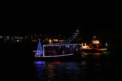 DSC_2527 (Large).JPG